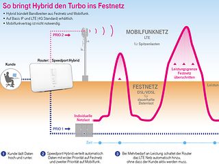 Infografik zum Thema Hybrid